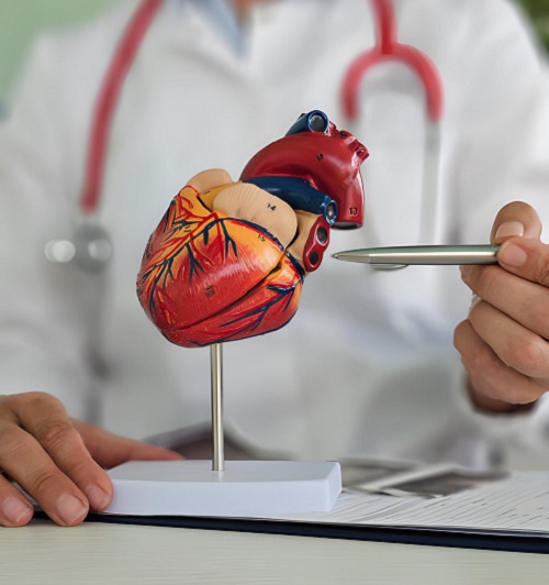 Best Aorta Doctor in Mumbai